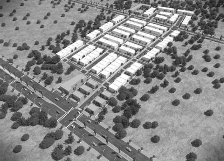 Plan-de-masse-Chemin-des-Palmiers